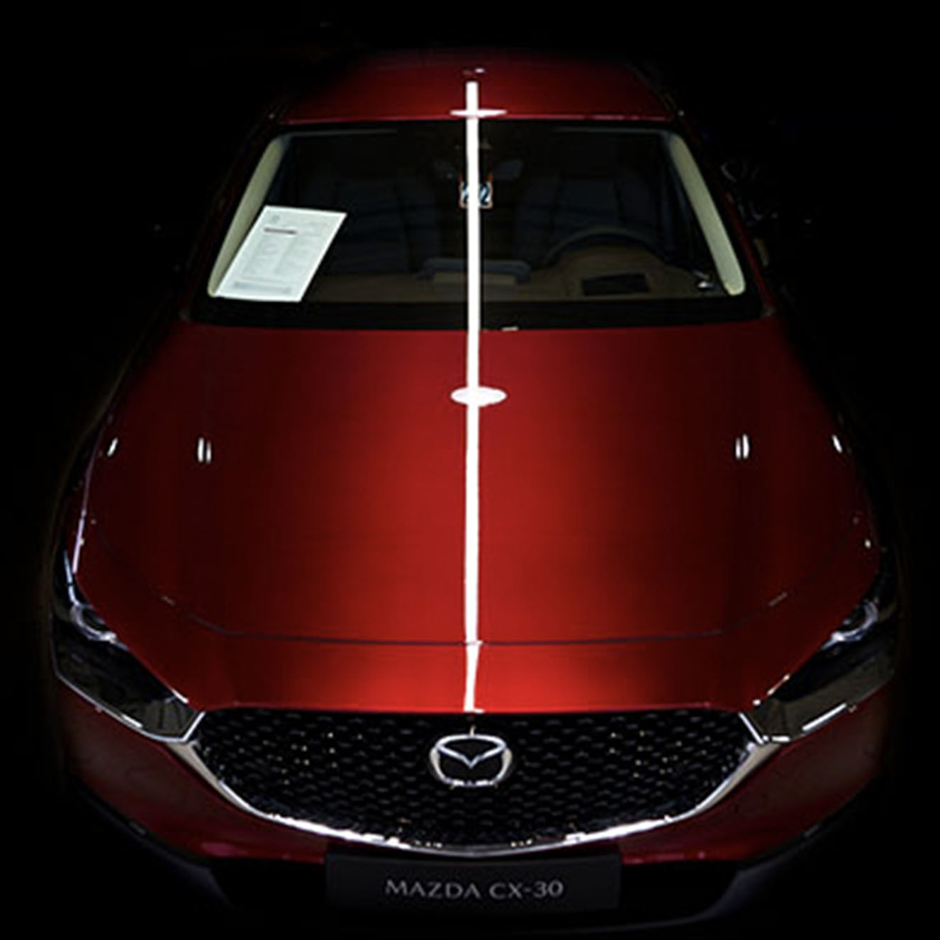 reclamefilms voor bedrijven